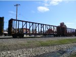 CN 625833 is new to RRPA!